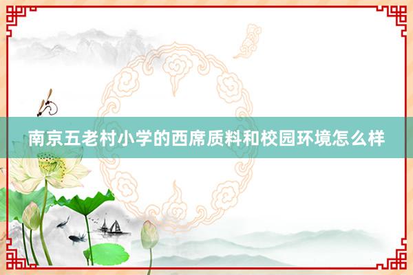 南京五老村小学的西席质料和校园环境怎么样