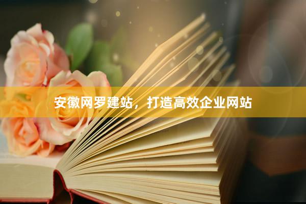安徽网罗建站，打造高效企业网站