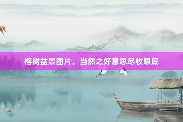 榕树盆景图片，当然之好意思尽收眼底