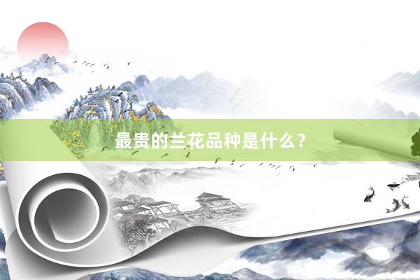 最贵的兰花品种是什么？