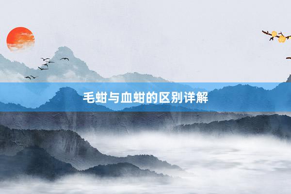 毛蚶与血蚶的区别详解
