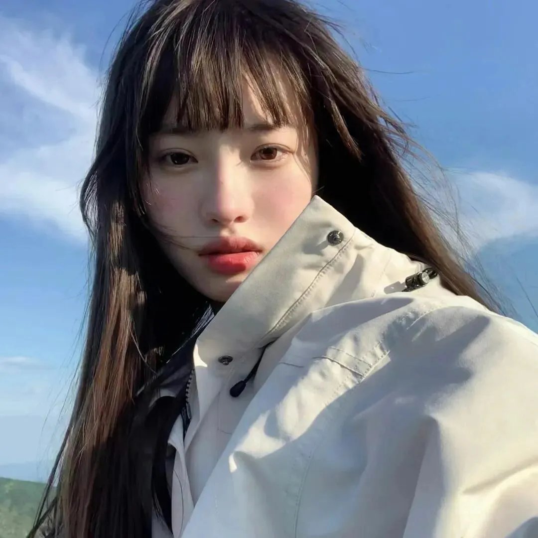 哈兰·科本的庇护所